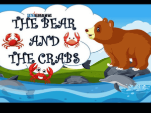 The Bear and the Crabs